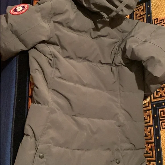 Canada goose